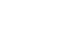 manifesto_block_icon_two